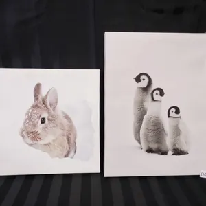 PICTURE SET