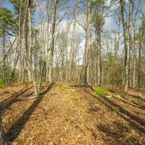 Recreational Land for Sale in Bath County