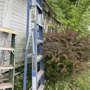 Ladder blue 7ft