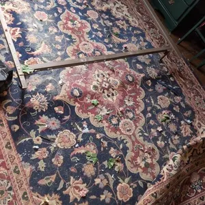 Rug needs deep cleaned 9x12