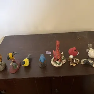 Bird lot