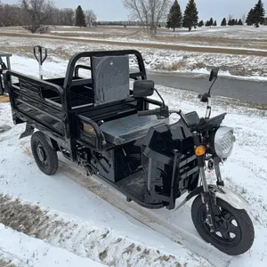 Seller #75. SDLANCH 3 wheel electric tricycle unused model IRET13. ￼