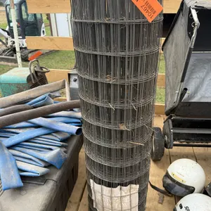 Roll of Wire Mesh