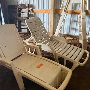 (2) Plastic Sun Chairs and Pool Ladder