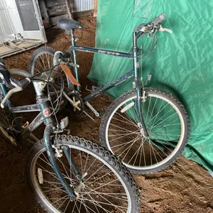 (2) Schwinn Bicycles