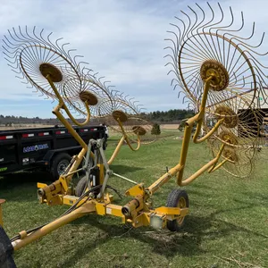 Vermeer WR20 Double Four Wheel Rake