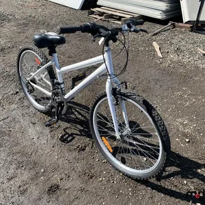 Bicycle
 UNRESERVED