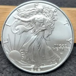 2021 T2 Silver Eagle