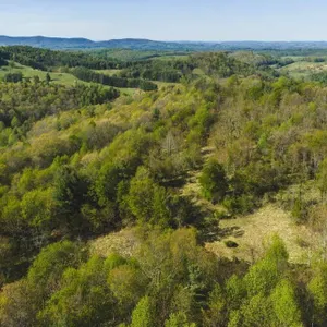 Recreational Acreage for Sale in Floyd, VA!