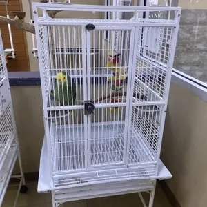 Bird cage
