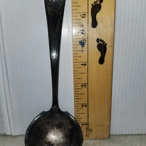 Bride Silver Plate Ladle