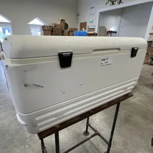 (3) Igloo Coolers 
 UNRESERVED