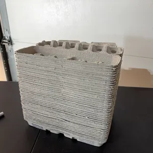 New egg cartons