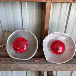 Brooder Lights