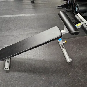Cybex Adjustable Decline Abdominal Bench, Model: 5445-90