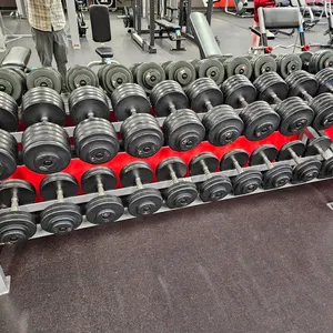 Cybex GPI Rubber Coated Dumbbell Set with 90" Rack, Includes: 2- 30, 2- 35, 2- 40, 2- 45, 2- 50, 2- 80, 2- 85, 2- 90, 2- 95, 2- 100 LBS