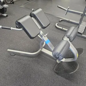 Matrix Back Extension Bench
