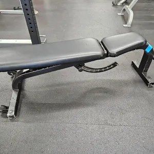 Cybex Adjustable Incline Bench