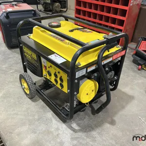 Champion 100105 4000W Single-Phase Gas Generator
UNRESERVED