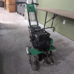 Raly 3hp Garden Tiller