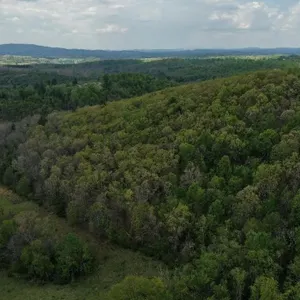 Recreational Land for Sale in Floyd, VA!