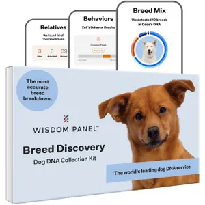 Wisdom Health Dog DNA Kit 1-Pack