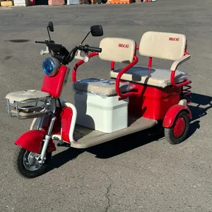 New 2026  I-Ranch  IRGC40 Mini 3-Wheel  Golf Cart