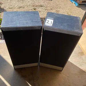 (2) Speakers, 15" x 32" in size