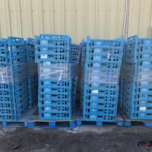 (4) Pallets of Assorted Bread Trays
 UNRESERVED
