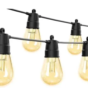 YSJ S14 2700K String Lights with 4 Adjustable Modes and Remote Control