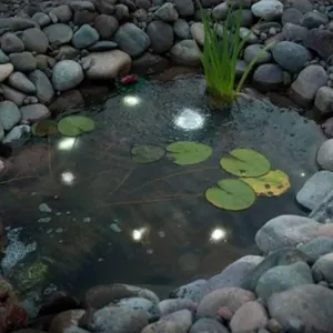 Smartpond Mini LED Lights with Dusk-to-Dawn Sensor