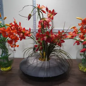 3  Decorative plants