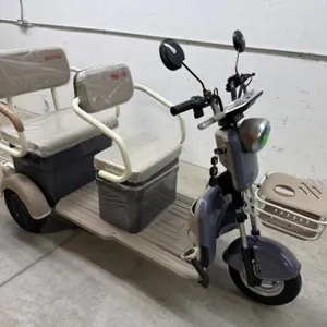 2026 Unused Sdlanch Electric Tricycle/cart Mgc40
