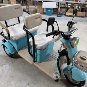 2026 Unused Sdlanch Electric Tricycle/cart Irgc40