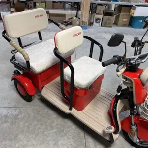 2026 Unused Sdlanch Electric Tricycle/cart Irgc40