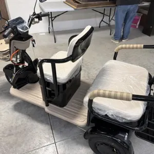 2026 Unused Sdlanch Electric Tricycle/cart Irgc40