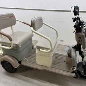 2026 Unused Sdlanch Electric Tricycle/cart Mgc40