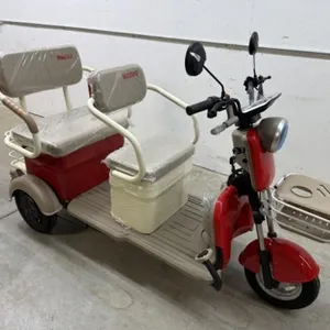 2026 Unused Sdlanch Electric Tricycle/cart Mgc40