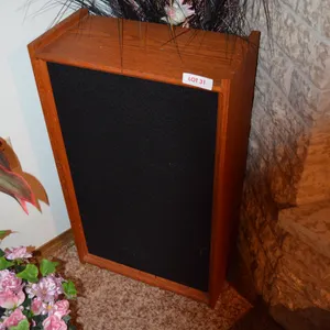 2 Large Speakers, 1 doesn't work, approx. 20" wide x 32" tall