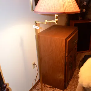 2 Floor Lamps with Pink Shades