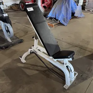 Cybex adjustable utility bench