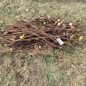 Pile of Electric Fence Posts