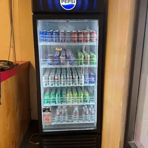 IDE SINGLE CLEAR DOOR REACH IN REFRIGERATOR / COOLER