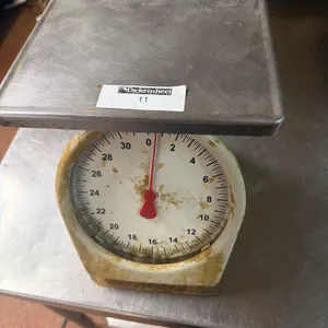 PORTION SCALE