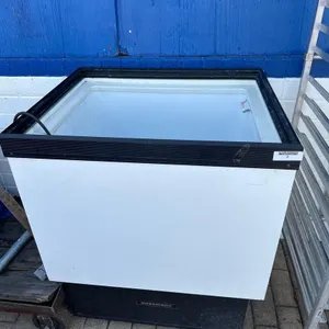 HUSSMANN CLEAR TOP REACH IN CHEST FREEZER