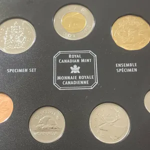 Coin Connoisseur - In House