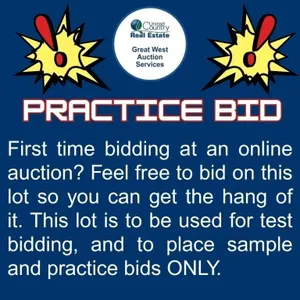 First time bidding at an online auction?