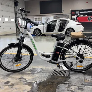 Slane Caledonia E-Bike