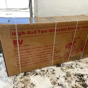 NEW/UNUSED SD LANCH HIGH END TWO WHEELED ELECTRIC VEHICLE-BLUE