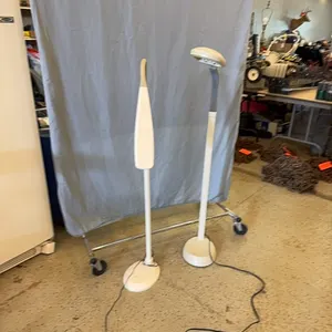 2 floor lamps